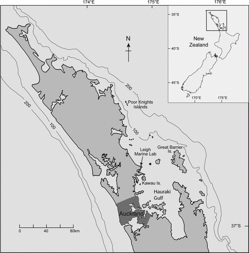 Figure 1  Map of coastal waters and the shelf break within c. 100 km of LML on the east coast of New Zealand. The star indicates the Jellicoe Channel site used by Jillett (Citation1971) in his plenary work on seasonality of plankton. The majority of work on plankton took place near to the LML, some studies extended to Great Barrier Island and work on the interactions between planktivorous reef fishes and plankton was done at the Poor Knights Islands. Research by New Zealand Fisheries and NIWA (especially by J Zeldis) and others has encompassed the Hauraki Gulf and outer Hauraki Gulf (north of the star). Oceanography of the Gulf is dominated by wind effects and periodic flows of the East Auckland Current (Zeldis et al. Citation2004). The Okakari Point to Cape Rodney Leigh Marine Reserve extends ~2.5 km either side of LML.