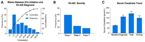 Figure 3. Clinical features of ICI-AKI. (A) The number of weeks between ICIs initiation and ICI-AKI diagnosis. (B) The distribution of ICI-AKI severity according to the Kidney Disease Improving Global Outcomes criteria. (C) The trend in SCr levels (mean ± SEM). The baseline SCr level was defined as the value closest to but before ICIs initiation; the diagnosis SCr refers to the value at which the patient first fulfilled the criteria for ICI-AKI; the peak SCr refers to the highest value during the AKI episode; and ending SCr is the value at the time of renal recovery (for patients with renal recovery) or the most recent value available after AKI diagnosis (for patients without renal recovery). ICIs, immune checkpoint inhibitors; ICI-AKI, immune checkpoint inhibitor-associated acute kidney injury; SCr, serum creatinine.