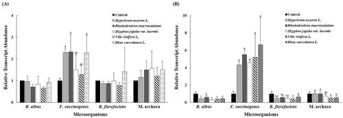 Figure 2. Relative quantification of in vitro rumen microbial population at 12 h (A), 24 h (B) incubation by different oriental medicine plant extracts. Error bars are standard error of the mean (n = 3) R. albus, Ruminococcus albus; F. succinogenes, Fibrobacter succinogenes; R. flavefaciens, Ruminococcus flavefaciens; M. archaea, Methanogenic archaea. a,b,cMeans with different superscripts in the same row indicate significant differences (p < .05).