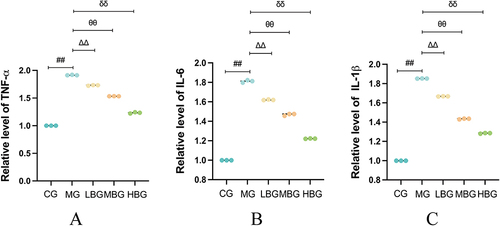 Figure 4 BSHXF alleviated inflammation in IVDD model Rats. (A–C) Measurement of TNF-α, IL-6 and IL-1β. Data are means ± SD.(##P < 0.01; ∆∆P < 0.01; θθP< 0.01; δδP< 0.01).
