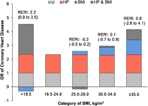Figure 3 Additive interaction of BMI and hypertension on risk of CHD by BMI presented as odds ratio partitioned into relative excess risks due to BMI, hypertension, and their interaction.