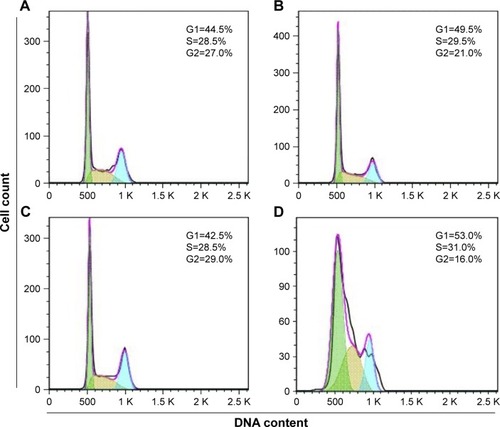 Figure 5 Comparison of the effects of free CG-1521 and CG-NPs on cell cycle kinetics in MCF-7 cells.Notes: MCF-7 cells were treated with 3.0 μM free CG-1521, CG-NPs equivalent to 3 μM CG-1521 for 72 hours, fixed with ethanol (90%), and incubated overnight at −20°C to stain nuclei using a Muse cell cycle kit. Muse cell analyzer determined the percentages of cells in G1, S, and G2 phases. (A) DMSO; (B) CG-1521; (C) VD-NPs; (D) CG-NPs. One representative dataset from one of the three biological replicates is shown. Histograms have different scales on y-axes.Abbreviations: CG-NPs, CG-1521-loaded starch NPs; DMSO, dimethyl sulfoxide; VD-NPs, void nanoparticles.