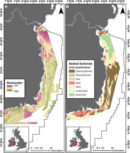 Figure 4. Backscatter (A) and sediment classification (B) data available from INFOMAR used in this study.