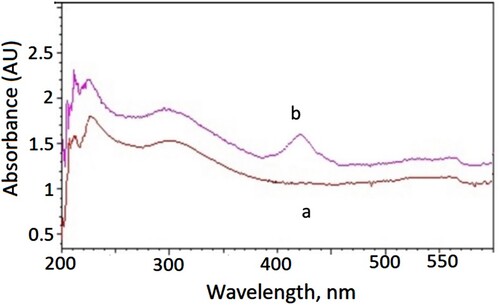 Figure 2. UV–Vis spectrum of the AgNPCh in the absence (a) and presence (b) of GA.