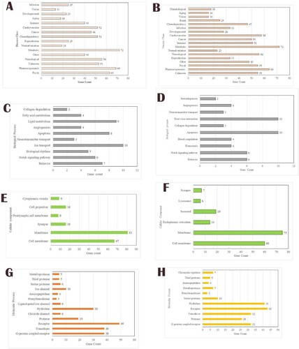 Figure 4. Enrichment analysis for the Praziquantel (A, C, E and G) and Mol4 (B, D, F and H) network proteins. A and B reveal the disease class; C and D reveal the biological process; E and F reveal the cellular component; G and H reveal the molecular function.