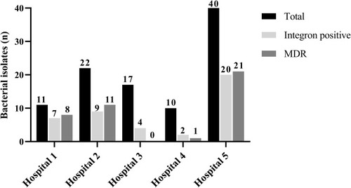 Figure 1 The number of integron positive and MDR Pseudomonas aeruginosa clinical isolates according to the hospital sources.