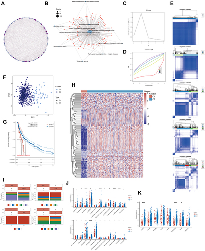 Figure 2 The landscape of deubiquitination-related genes in melanoma and the immune characteristics of two subtypes. (A) Protein- protein interaction (PPI) of the deubiquitination-related genes. The color and size of nodes are proportional to their degree. (B) The “clusterProfiler” R package was used for the enrichment analysis. (C) The cumulative distribution function (CDF) curves in consensus cluster analysis. CDF curves of consensus scores by different subtype numbers (k = 2, 3, 4, 5, and 6) were displayed. (D) Relative change in area under the CDF curve for k = 2–6. (E) The consensus score matrix of all samples when k = 2–6. (F) The PCA distribution of TCGA-SKCM samples by expression profile of deubiquitination related-gene. Each point represents a single sample; different colors represent the C1 and C2 subtypes respectively. (G) Survival analysis based on two subtypes. (H) Expression distribution of 116 deubiquitination-related genes between two subtypes. (I) Distribution of clinical characteristics of two subtypes, including T, N, M stages. (J–K) Differences in the abundance of immune cell infiltration (J) and immune checkpoints levels (K) between C1 and C2 subtypes. (*P < 0.05, ***P < 0.001).