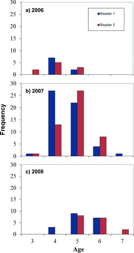 FIGURE 6 Frequency distributions of scale-based age estimates for adult American shad collected during spawning migrations in the York River in (a) 2006 (age-4), (b) 2007 (age-5), and (c) 2008 (age-6) and identified as members of the 2002 year-class by their isotope signatures. Specimens that did not have scale samples or whose samples were determined to be unusable were not included in this analysis.