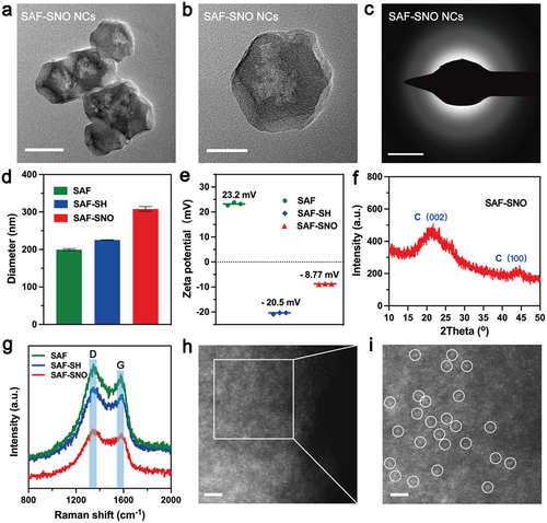 Figure 1. Synthesis and characterization of SAF-SNO NCs.