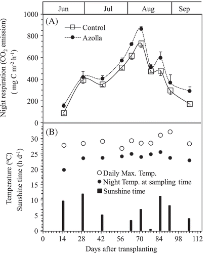 Figure 4. Changes in night respiration (CO2 emission) of rice plants grown in the pots between treatments of absence (Control and presence of A. filiculoides (Azolla) throughout the experiment period (A). Bars indicate standard deviation (n = 4). The daily maximum temperature and the temperature at sampling time (21:00 pm), and sunshine time on day of gases sampling were shown in (B).