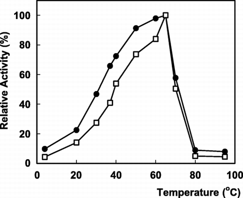 Figure 3. The effect of temperature on α‐galactosidase activity: (•); free enzyme, (□); immobilized enzyme.