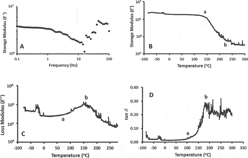 Figure 2. Storage and loss modulus, and tan δ measured by DMTA. A: Frequency swift at 30°C. B: Storage modulus (E′, Pa) as a function of temperature, C: Loss modulus (E′′, Pa) as a function of temperature, D: Phase angle (tan δ) as a function of temperature.