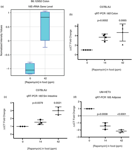 Fig. 5 Rapamycin effects on 18S ribosomal RNA in colon of eRapa-fed C57BL/6 mice. (a) Graphic comparison of the normalized intensity values for 18S rRNA as quantified by microarray analysis. (b–d) Graphs showing fold changes in rRNA by qRT-PCR normalized to B2M mRNA in response to 14 and 42 ppm diets in colon (b), small intestine (c), and adipose (d).