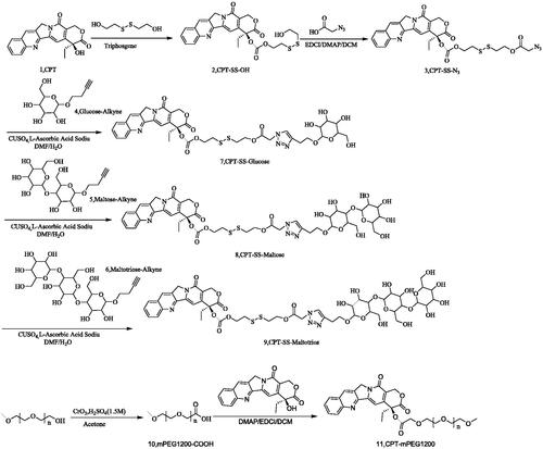 Scheme 1. Synthesis of CPT-SS-Glucose/Maltose/Maltotriose and CPT-PEG1200.