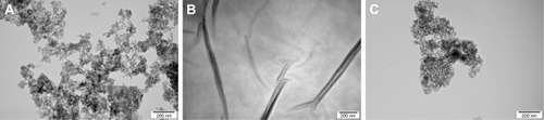 Figure 2 Transmission electron microscopic images of nanoparticles. Scale bar=200 nm.Note: (A) Diamond nanoparticles, (B) graphene oxide platelets, (C) graphite nanoparticles.
