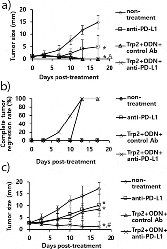 Figure 7. The antitumor activity of anti-PD-L1 Ab treatment in combination with combination therapy using Trp2 peptide vaccines. (A) Each group of mice (n = 5/group) was challenged s.c. with B16 cells. When the tumor sizes became 1.5 mm (A,B) and 3 mm (C) in mean diameter, the mice were injected i.p. with 100 μg of anti-PD-L1 Abs at 0, 3, 7, 10, and 13 days post-treatment. The mice were also treated s.c. with Trp2 peptides plus CpG-ODN at 0 and 7 days post-treatment, as described in “Material and methods”. The tumor sizes were measured over the time points. The values and bars represent mean tumor sizes (A,C) and %complete tumor regression rates (B) and SD, respectively. *p < .05 compared with non-treatment. &p < .05 compared with anti-PD-L1. #p < .05 compared with anti-PD-L1 and Trp2+ ODN+control Ab