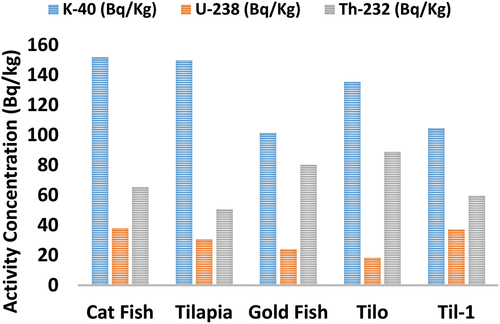 Figure 9. Activity concentration of potassium-40, uranium-238, and thorium-232 in the Fish samples.