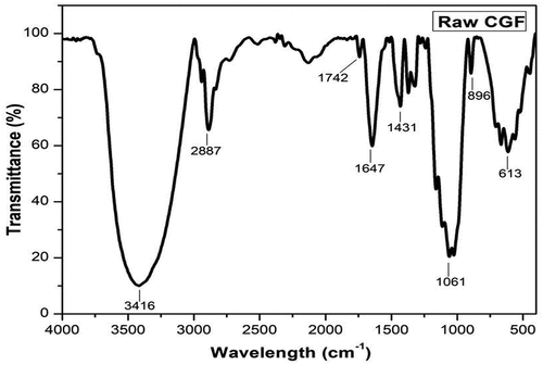 Figure 4. Raw CGF FTIR – spectra.