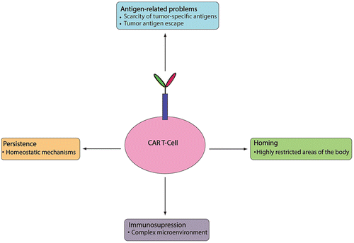 Figure 4. Challenges in CAR T-cell therapy.
