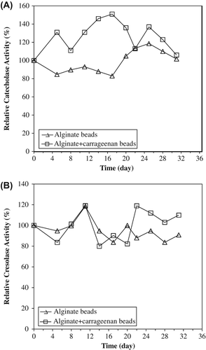 Figure 6. The storage stabilities of entrapped polyphenol oxidase in alginate gel and alginate+κ-carrageenan polymer blends for catecholase (A) and cresolase (B) activities.