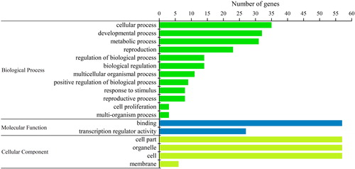 Figure 6. Gene ontology (GO) and functional annotation of BjuSBP genes. According to the GO second level terms, the annotation results are divided into three GO categories, which are represented by different color bars.