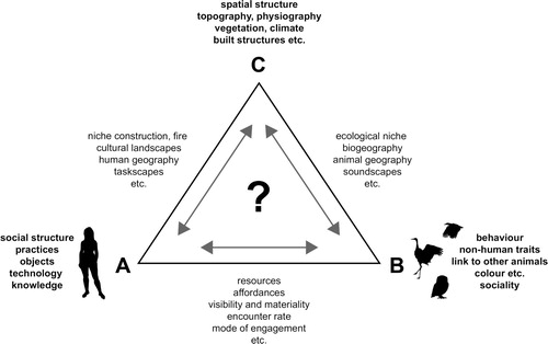 Figure 1. The ‘triangle of interaction’ as a conceptual model for characterising and understanding situated human-animal relationships. The triangle encapsulates the interactional dynamics between three constitutive poles of interaction: (A) human behaviour and sociocultural practice, (B) animal ethology and ecosystem position, (C) spatial setting and landscape structure. The nature of the dynamics as well as the importance of each active pole and its effects are context-specific. The ? denotes emergent qualities, for instance items or assemblages of animal-related material culture, which are hypothesised to result from the complex, multi-directional interaction of the three poles [Black silhouettes have been retrieved from phylopic.org].