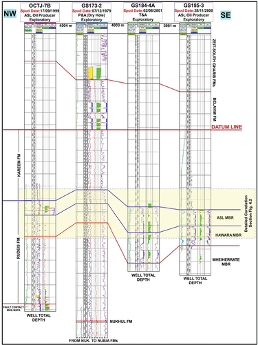 Figure 5. Stratigraphic correlation among wells in the study area for the entire drilled stratigraphic section.