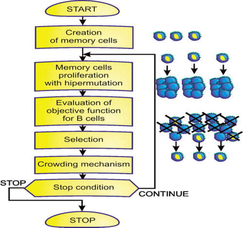 Figure 2. An AIS.