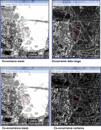 Figure 3. Image segmentation for urban area extraction using ENVI 4.3.