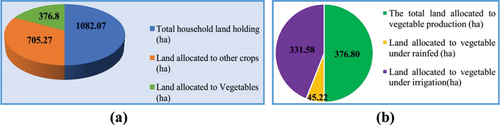 Figure 2. Total land allocated to vegetables and share of irrigated land area (ha).