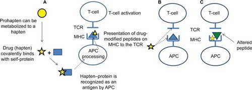 Figure 2 Proposed mechanisms of T-cell activation by drugs/drug metabolites.