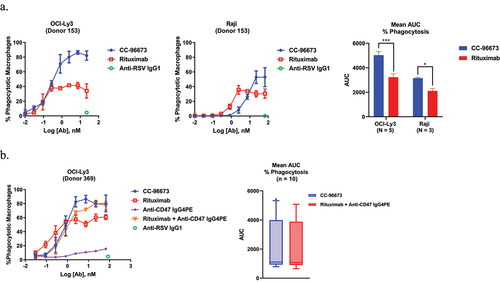 Figure 3. CC-96673 promotes phagocytosis of CD47+CD20+ lymphoma cells. (a) CC-96673 induces significantly more efficient phagocytosis than rituximab. Antibody-opsonized human macrophages and NHL tumor cells were cocultured for 3 hours prior to imaging. Graphs show representative dose response curves for CC-96673 induced phagocytosis of NHL cells (left) with corresponding AUC data for all macrophage donors (right). (b) CC-96673-induced phagocytic activity is comparable to that of rituximab combined with anti-CD47 IgG4PE. CC - 96,673, rituximab, anti-CD47 IgG4PE, or equal parts rituximab and anti-CD47 IgG4PE were added to cocultures of macrophages and tumor cells. Representative dose response curves for CC-96673 induced phagocytosis of NHL cells (left) with corresponding combined AUC data (right). Dose response values represent the mean of triplicate wells ± SD. AUC values represent the mean of multiple donors ± SEM. N = number of individual macrophage donors tested per cell line. Significant differences assessed by paired t test. ***p < .0005, **p < .005, *p < .05.