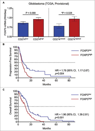 Figure 1. Regulatory T cell infiltration is associated with CD274 mRNA expression in GBM tumors, and predicts worse survival. (A) GBM tumor samples (n = 166) from the provisional TCGA dataset were divided into CD274low and CD274high by the median expression. FOXP3 mRNA expression was greater in the CD274high population with a trend towards significance. The top quartile of CD274 expressing tumors (n = 42) was compared to the bottom quartile CD274 expressing tumors (n = 42) for FOXP3 mRNA expression. CD274highest tumors had significantly greater FOXP3 mRNA (p = 0.028). (B) Patients were divided into FOXP3low and FOXP3high groups based on mRNA expression relative to the median. The FOXP3low subset had a median PFS of 7.9 months, compared to 6.0 months for the FOXP3high subset (p = 0.004). (C) Patients in the FOXP3low subset had a median OS of 15.8 months, compared to 11.2 months for the FOXP3high subset (p < 0.001).