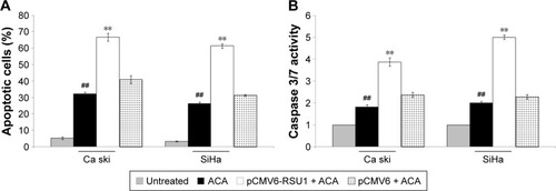 Figure 6 Overexpression of RSU1 augments ACA-induced apoptosis. (A) Apoptosis effects on RSU1-overexpressing cells treated with ACA. (B) Caspase 3/7 activity on RSU1-overexpressing cells treated with ACA.