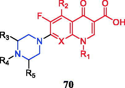 Figure 35. Chemical structures of piperazinylquinolone skeleton.