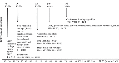 Figure 7. Optimum DLI and PPFD ranges with plant usability (based on and modified after Runkle, Citation2019).