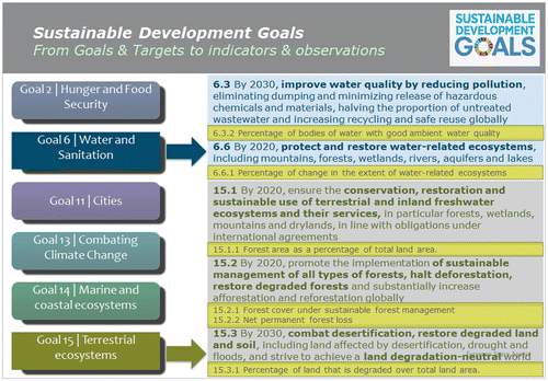 Figure 2. Examples of SDG goals, targets, and indicators which can be informed by EO.