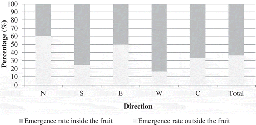 Figure 6. Pupae emergence percentage of Virachola livia inside and outside of fruits