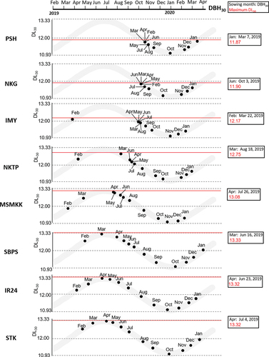 Figure 3. Critical day length of eight tested varieties. The grey curves indicate the day length at Nay Pyi Taw from February 2019 to April 2020. Small dots were plot of the varities sown at each month. The dots are drawn at the date for 30 days before heading (DBH30) in a horizontal axis and day length at date for 30 days before heading (DL30) in a vertical axis. The longest DL30 are defined as the critical day lengths for each variety (red line).