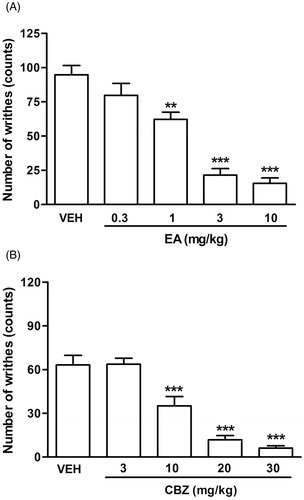 Figure 1. Effects of intraperitoneal (A) ellagic acid (EA; 0.3–10 mg/kg) or (B) carbamazepine (CBZ; 3–30 mg/kg) in the mouse acetic acid-induced writhing test. Data are the mean ± SEM of 8–10 animals per group (one-way ANOVA followed by Tukey’s test). **p < 0.01, ***p < 0.001 versus the vehicle (VEH) control group.