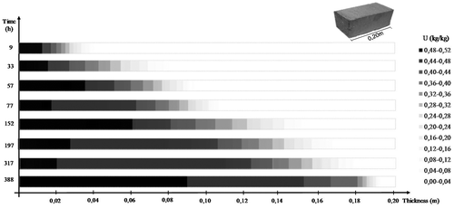 Figure 5. Experimental moisture content profiles of the autoclaved cellular concrete (ACC) provided by gamma-ray attenuation method.