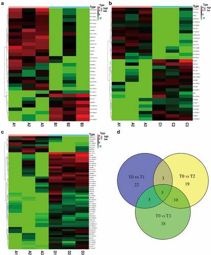 Figure 4. Comprehensive lncRNAs in EVs before and after surgery. (a-c) Significant lncRNAs in EVs were also screened and identified using the ‘Limma’ R package between samples before surgery and after extubation (Fig. A), or 1 day after surgery (Fig. B), or 3 days after surgery (Fig. C). (d) A total of 3 common DEGs were obtained in EVs before and different time points after surgery using a Venn diagram