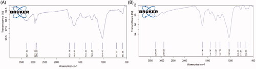 Figure 2. HR-TEM analysis and SAED pattern analysis of AuNPs synthesized from AL.