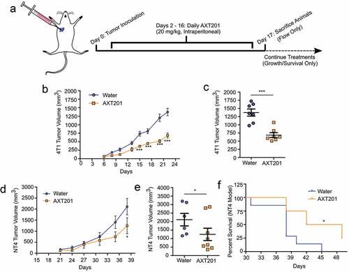 Figure 2. AXT201 inhibits the growth of NT4 and 4T1 tumors in mice. (a) Schematic showing dosing schedule. The blue arrow indicates the start of daily peptide injections from day 2 on. The dashed lines indicate deviations in survival and growth experiments from flow experiments, which were terminated on day 17. (b, c) Tumor growth of water- (blue) and AXT201-treated (orange) 4T1 tumors showing both averages over time (b) and individual tumor measurements from Day 22 (c). *** indicates p < .001, two-way ANOVA with Bonferroni posttest. (d-f) Tumor growth of water- (blue) and AXT201-treated (orange) NT4 tumors showing both averages over time (d) and individual tumor measurements from Day 38 (e). * indicates p < .05, two-way ANOVA with Bonferroni posttest. (f) Kaplan-Meier curve showing differences in survival for water- and AXT201-treated mice. * indicates p < .05, Log-Rank Test.