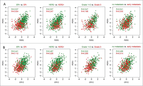 Figure 4. Correlations of circadian clock genes in tumors stratified according to ER status, HER2 status, histological grade and metastasis occurrence. Correlation coefficients between PER2 (205251_at) and PER3 (221045_s_at) and between CRY2 (212695_at) and PER3 (221045_s_at) are higher in estrogen receptor (ER)-positive and HER2-status negative tumors, and also in tumors with low grade and with no metastatic occurrence (green color). Conversely, correlations are lower in ER negative, HER2 status positive, high grade and metastatic tumors (red color). Correlations were analyzed using the Spearman correlation test. The subgroup analysis included the combined cohort of 766 patients with node-negative breast cancer except in grade, since grade information is only available for the Mainz and the Transbig cohorts (combined N = 480). Correlation analysis in the single cohorts is shown in Fig. S7.