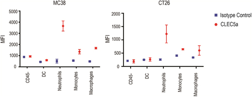 Figure 2. Characterization of CLEC5A expression on mouse tumor infiltrating cells CLEC5A expression on different cell types in MC38 and CT26 tumors (Mean ± S.D of MFI from 3 independent tumors).