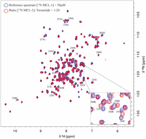 Figure 2 Overlay of 1H-15N HSQC spectra obtained for 15N -Mcl-1 in the absence and presence of Torsemide.