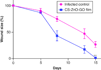 Figure 5. Wound contraction evaluation.Changes in wound size for different groups.**p < 0.01.