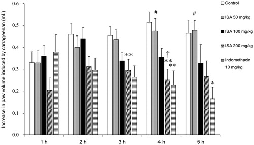 Figure 3. Effects of ISA at different doses on carrageenan-induced foot oedema in rats (n = 10/group). Error bars indicate standard error of mean. *p < 0.05, **p < 0.01, compared with the control group. #p < 0.05, compared with the indomethacin group. †p < 0.05, compared with the ISA 50 mg/kg group. The control group received distilled water (10 mL/kg), and the reference drug was indomethacin (10 mg/kg).