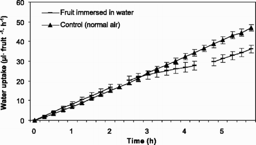 Fig. 4 Accumulated water uptake through the pedicel of fruits of sweet cherry ‘Ulster’ (1994) kept in air and interrupted by fruit immersion in water for 3 h. The first break in line is when the fruits were immersed in water, while the second break is when the fruits were dried. Vertical bars represent standard error of the means (SE) and each point represents 5 fruits. Regression describing the data are: (▴) y=−1.10+8.32x, r 2=0.984; (-) y=0.18+8.15x, r 2=0.911; y=0.64+4.69x, r 2=0.954 and y=−0.52+5.75x, r 2=0.971 before, during and after immersion, respectively.